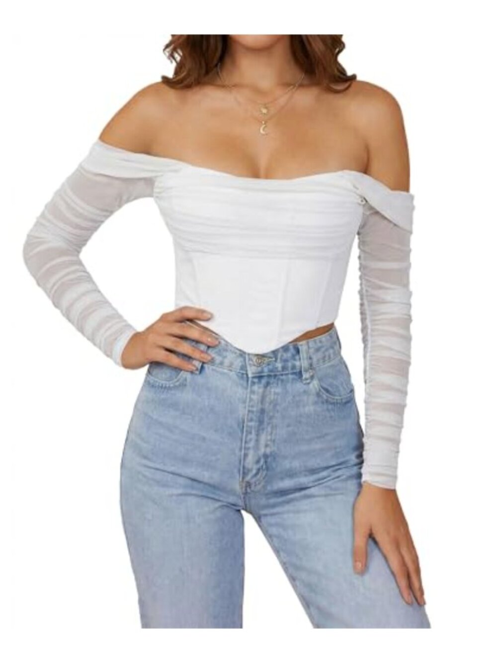 Off Shoulder Mesh Bustier Corset Top Long Sleeve Zip Back Crop